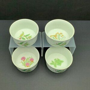 Shafford Herbs & Spices Ramekins Floral Custard Cups Porcelain Dessert Bowls